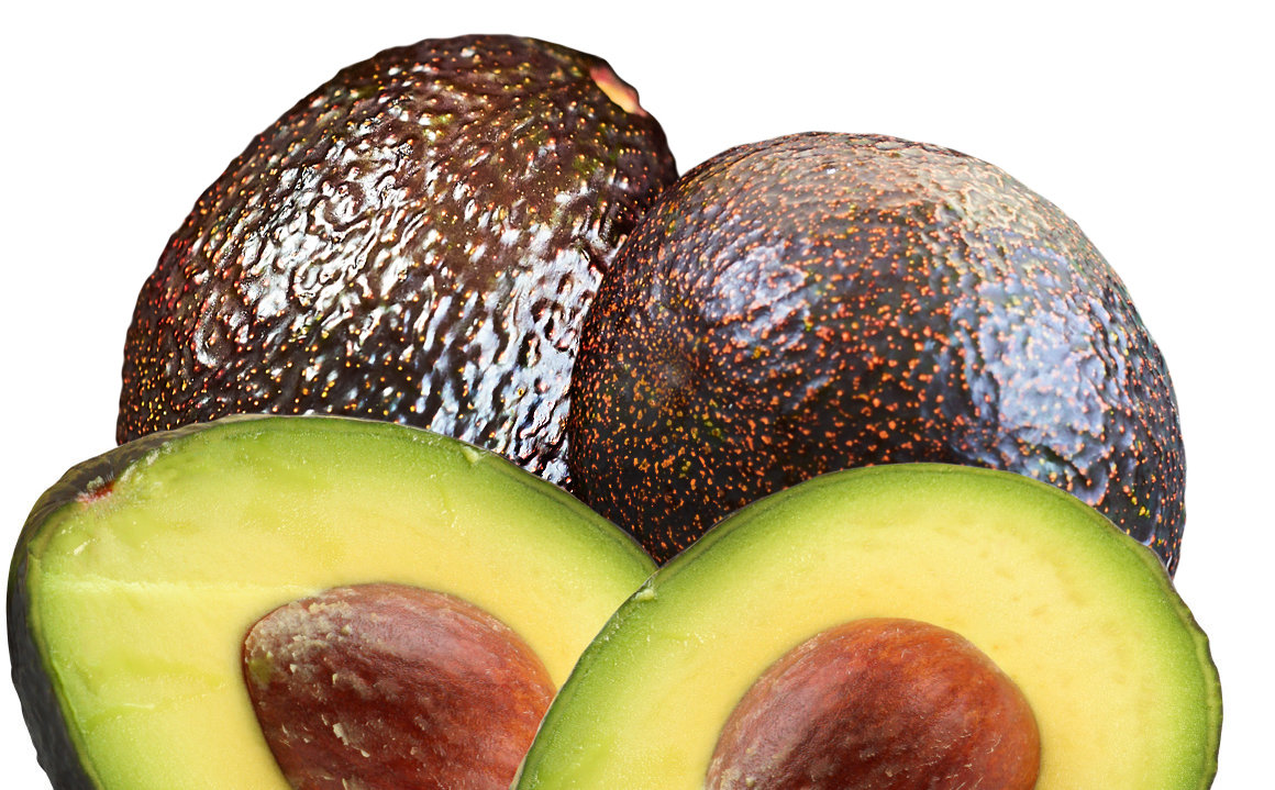 Growing GEM® Avocados GEM® Avocado
